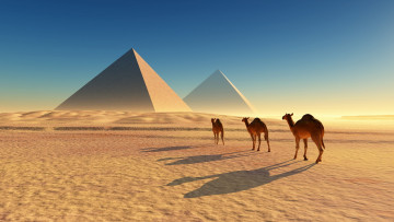 Картинка 3д+графика животные+ animals песок пирамиды верблюды