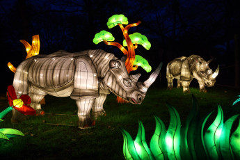 Картинка разное иллюминация вечер зоопарк китай красиво носорог огни фигура