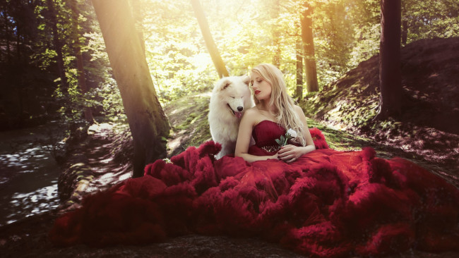 Обои картинки фото девушки, - блондинки,  светловолосые, лес, блондинка, платье, роза, собака