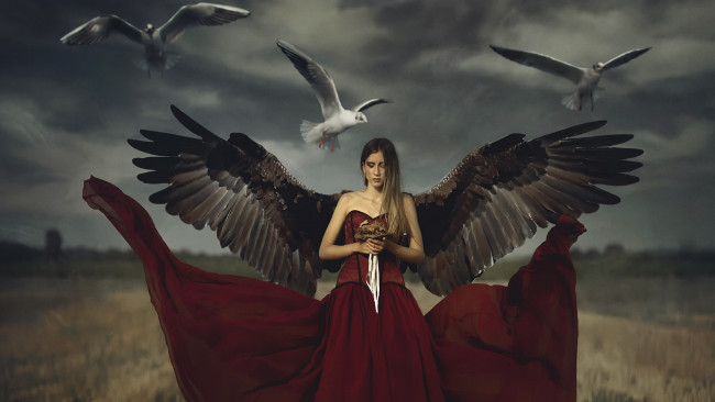 Обои картинки фото девушки, - креатив,  косплей, птицы, крылья