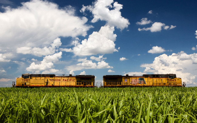 Обои картинки фото техника, поезда, поезд, поле, небо, облака