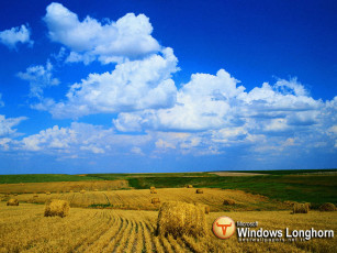 Картинка компьютеры windows vista longhorn