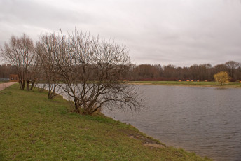 Картинка природа реки озера пруд осень деревья