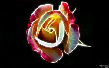 Картинка 3д графика flowers цветы цветок роза тёмный