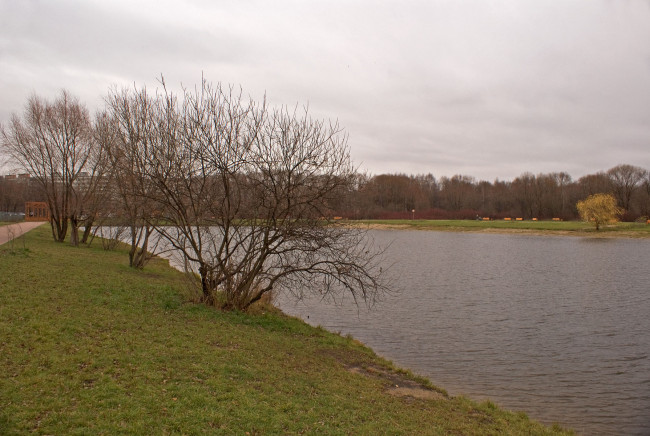 Обои картинки фото природа, реки, озера, пруд, осень, деревья