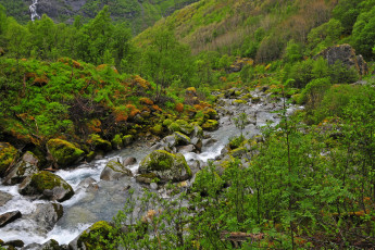 Картинка норвегия briksdalsbre jostedalsbreen nacional park природа реки озера растения водопад