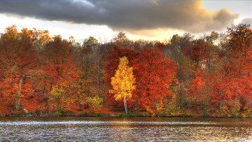 обоя природа, реки, озера, осень, река, лес