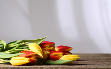 Картинка цветы тюльпаны желтый красный