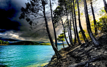 Картинка gloomy day at lake природа реки озера озеро берег деревья
