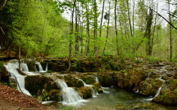 Картинка плитвицкие озера хорватия природа водопады лес водопад