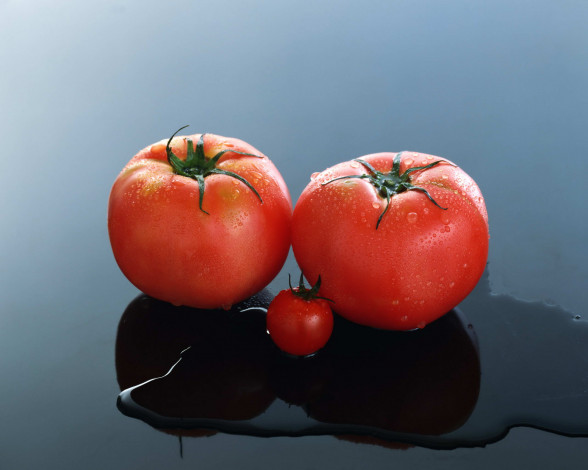Обои картинки фото еда, помидоры, помидор, томаты
