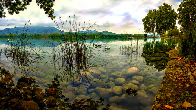 Обои картинки фото beautiful, lake, природа, реки, озера, утки, красота, вода, прозрачная, каменистое, дно, трава, деревья, горы, озеро