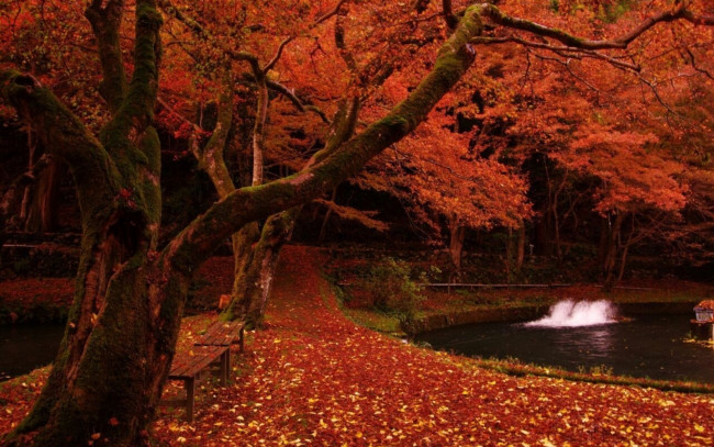 Обои картинки фото природа, парк, листва, осень, скамейки, пруд, фонарик