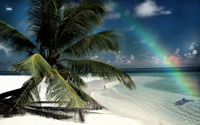 Обои картинки фото природа, радуга, тропики, остров, пляж, еальмы