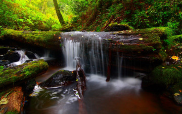 Картинка природа водопады лес бревна ручей