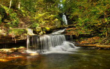 Картинка природа водопады вода лес