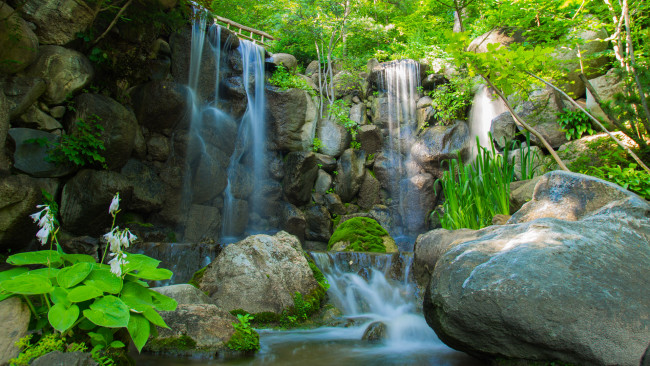 Обои картинки фото природа, водопады, цветы, вода, камни, мостик