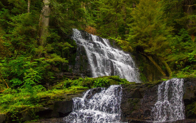 Обои картинки фото природа, водопады, вода, лес, поток