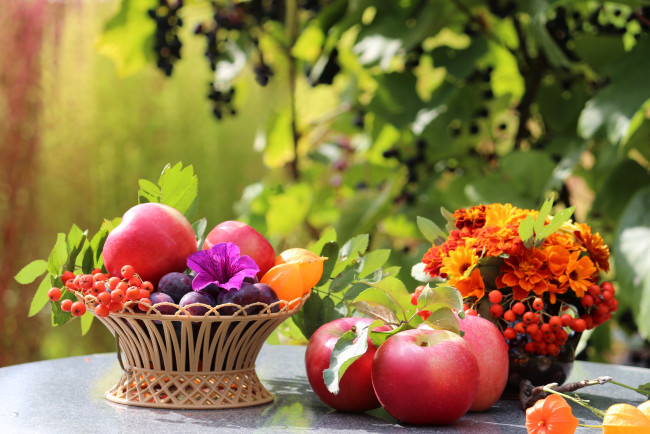 Обои картинки фото еда, фрукты, ягоды, яблоки, сливы, рябина, физалис