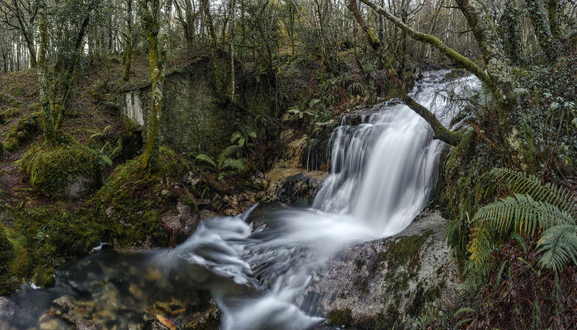 Обои картинки фото природа, водопады, река, водопад, лес