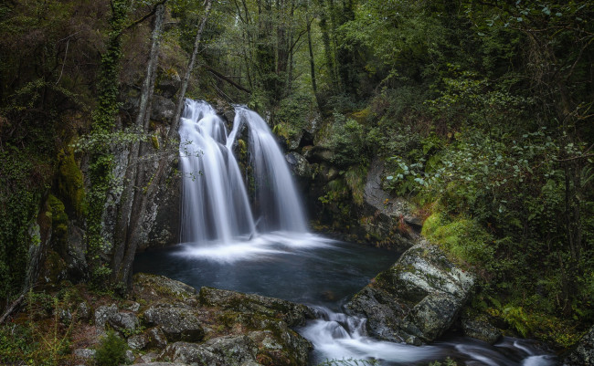 Обои картинки фото природа, водопады, водопад, река, лес