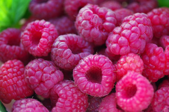 Картинка еда малина природа десерт ягоды позитив услада осень урожай лакомство красота макро множество сладко