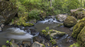 Картинка природа реки озера речка водопад камни деревья лес