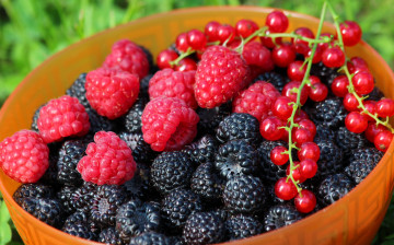 Картинка еда фрукты +ягоды вкусно витамины ягоды лето дача