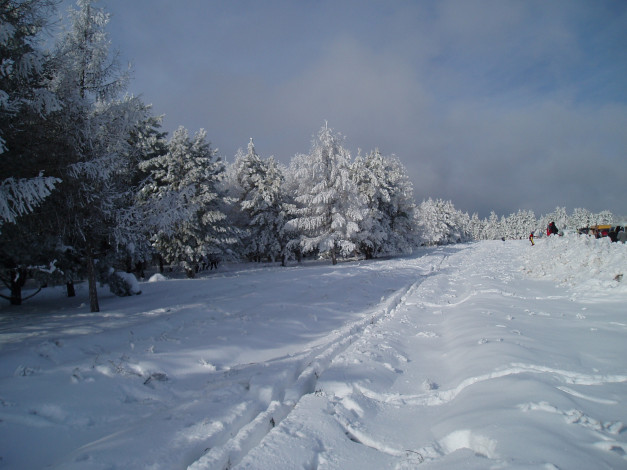 Обои картинки фото природа зимой, природа, лес, зимой