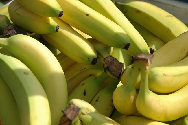 Обои картинки фото еда, бананы, много