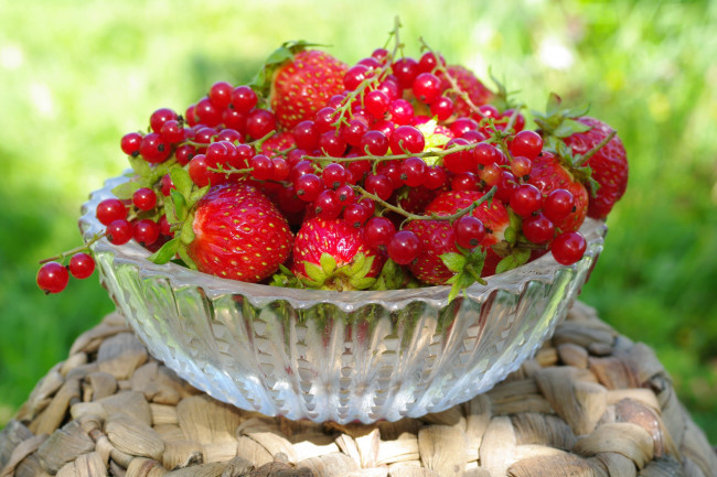 Обои картинки фото еда, фрукты,  ягоды, миска, смородина, клубника, ягоды