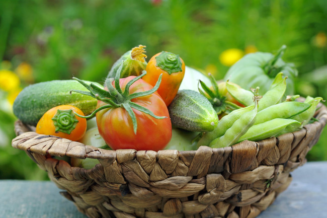 Обои картинки фото еда, овощи, июль, лето, позитив, урожай, дача, огурцы, помидоры, горох, перцы, природа, томаты