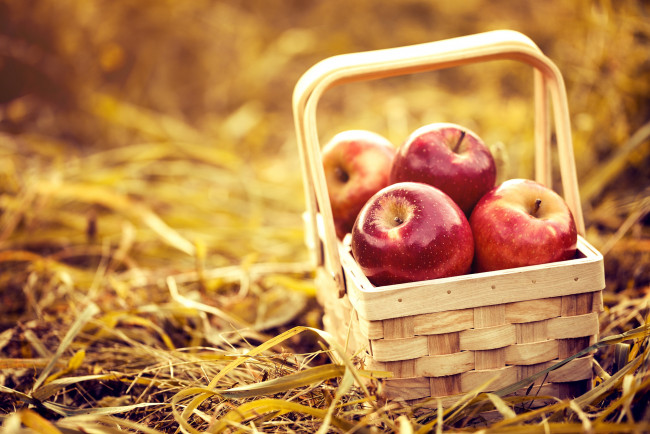 Обои картинки фото еда, Яблоки, природа, корзина, сено, фон, яблоки