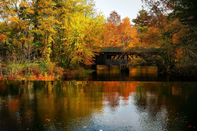Обои картинки фото природа, реки, озера, осень, деревья, река, мост