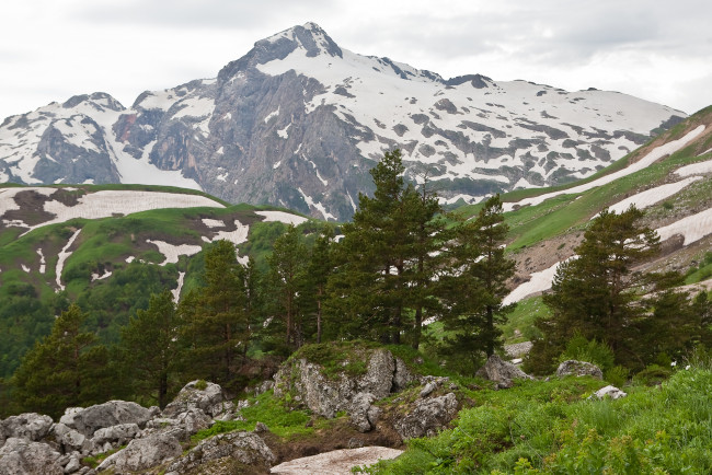Обои картинки фото фишт, природа, горы, россия, деревья, скалы, гора, кавказ
