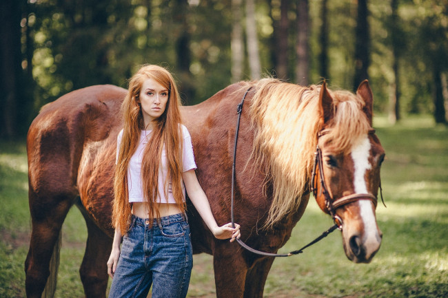 Обои картинки фото девушки, - рыжеволосые и разноцветные, джинсы, рыжеволосая, лошадь