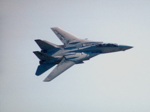 Картинка f14 авиация боевые самолёты