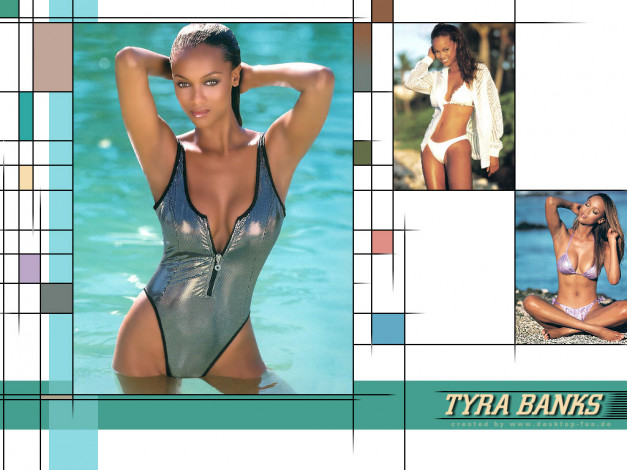 Обои картинки фото Tyra Banks, девушки