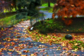 обоя природа, парк, мост, листья, осень, деревья, асфальт