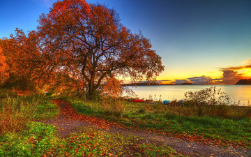 Картинка природа деревья пейзаж осень