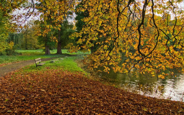 обоя природа, парк, дорожка, скамейка, деревья, листья, пруд, осень