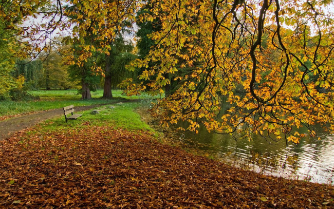 Обои картинки фото природа, парк, дорожка, скамейка, деревья, листья, пруд, осень