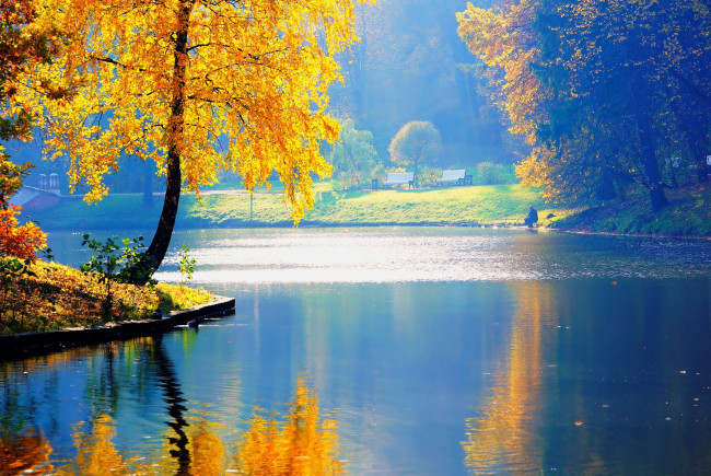 Обои картинки фото природа, реки, озера, парк, осень, деревья, река