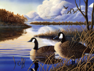Картинка evening rest рисованные jeff hoff осень утки гуси