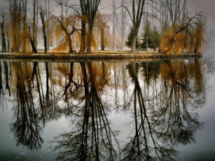 Картинка природа реки озера вода деревья