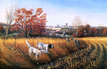 обоя bird, dog, country, рисованные, john, eberhardt, утки, осень, охота, собаки