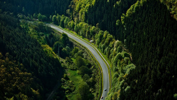 Картинка природа дороги nurburgring трасса лес автомобили