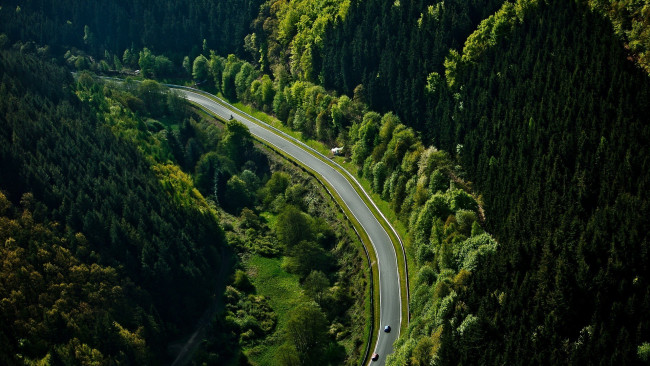 Обои картинки фото природа, дороги, nurburgring, трасса, лес, автомобили
