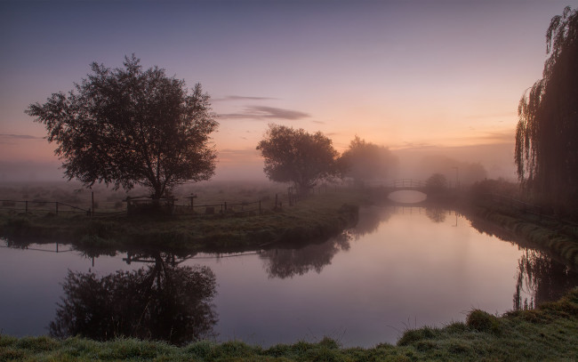 Обои картинки фото природа, реки, озера, туман, деревья, утро, пейзаж, мост, речка