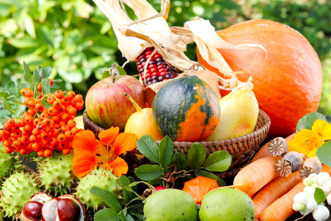 Обои картинки фото еда, фрукты, овощи, вместе, дары, осени